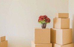 Navigating life's transitions: The indispensable role of House Clearance