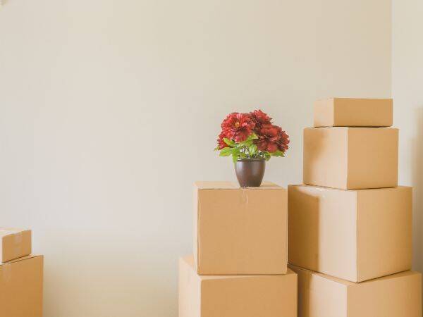 Navigating life's transitions: The indispensable role of House Clearance